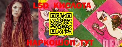 прущие крисы Новодвинск